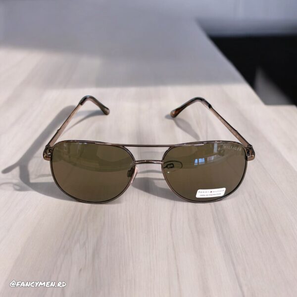Gafas Tommy Hilfiger Marron Sd